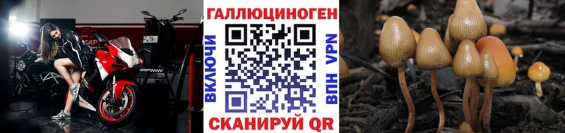 KRAKEN tor  где можно купить   Кохма  Галлюциногенные грибы Magic Shrooms 